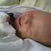 Four Days Old