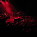 Interpol in Yellow