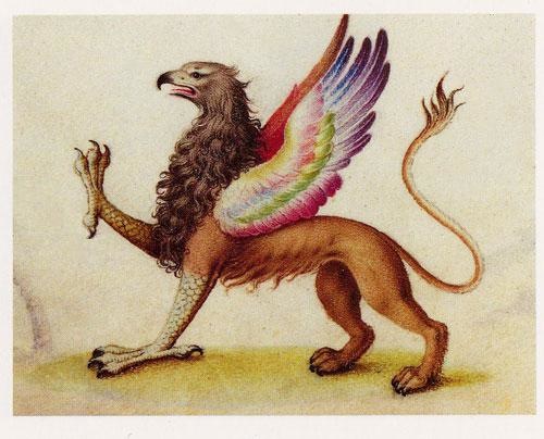 uncomfortable griffin