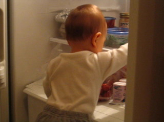 Memphis in the Fridge